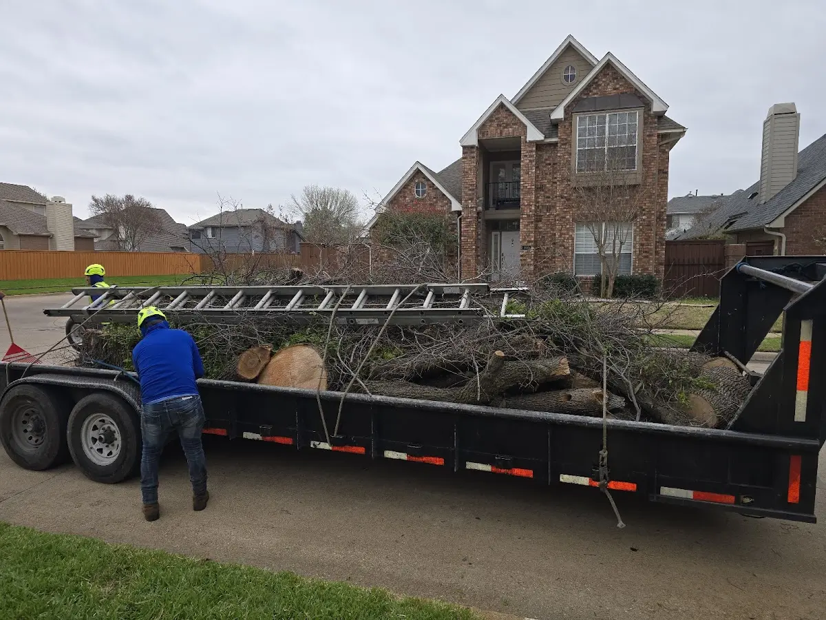Expert Tree Fertilization with proper safety equipment in Summerhill